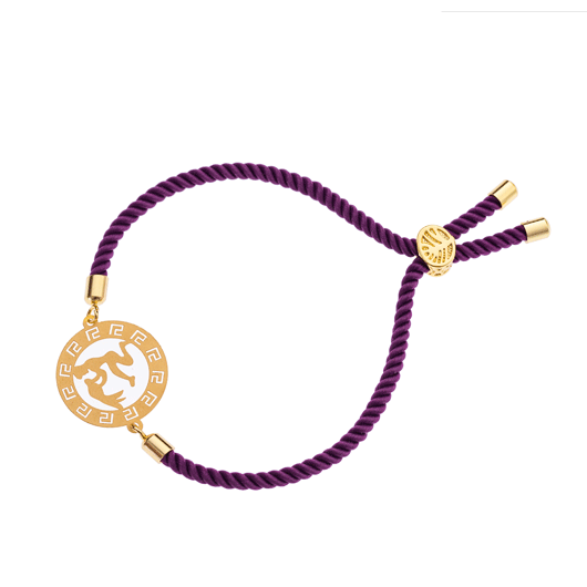دستبند طلا ماه تولد بهمن مدل آسانسوری کد 0611.1.2.11